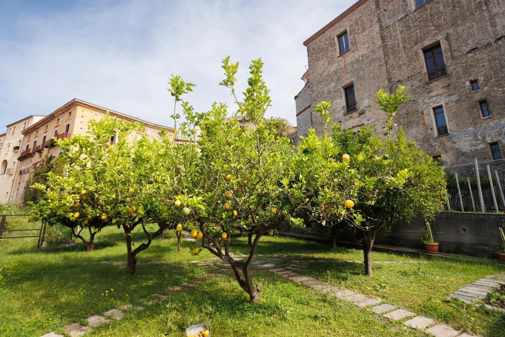 Апартаменты The Lemon Tree House Скалея Экстерьер фото